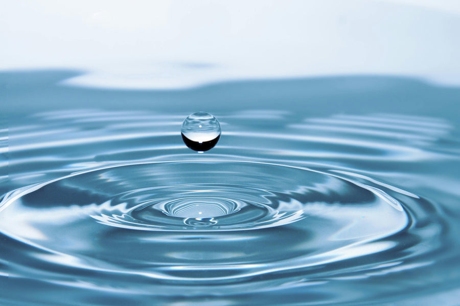 Water Element of Five Elements: Moist Aesthetics Hidden in Flow and Silence